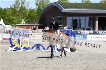 181436_avh_02_3766.JPG