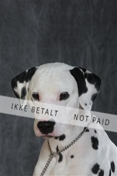 130054_le_ 03_0125.JPG