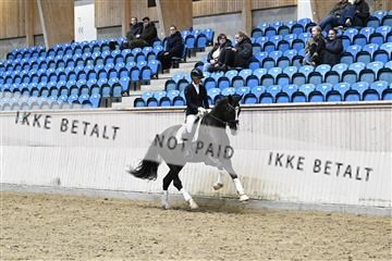 182241_kbb_01_Z093472.JPG