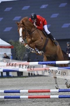139644_abo_01__AB13925.JPG