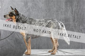 130054_le_ 01_0364.JPG