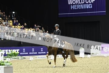 182194_kbb_03_Z092785.JPG