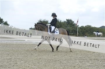 169624_kbb_01__KBB8442.JPG