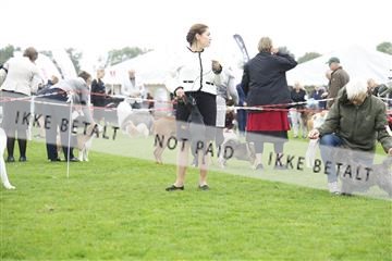 182009_kar_01__62_5406.JPG