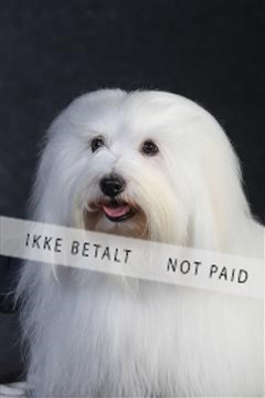 132082_le_ 01_IMG_0400.JPG