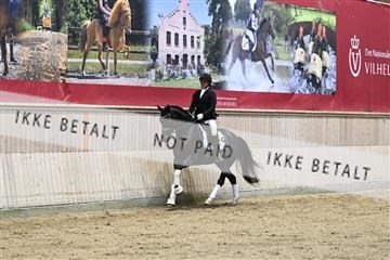 182241_kbb_01_Z093155.JPG