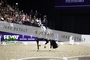 182194_avh_06_3728.JPG