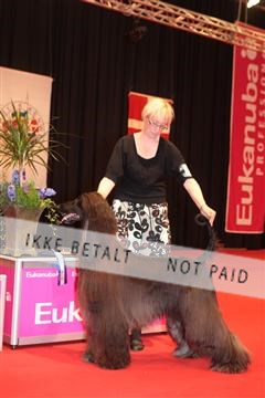 126827_tl_04_IMG_0118.JPG