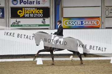 140040_abo_02__AB18580.JPG