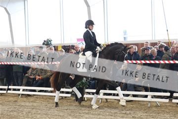 174363_kbb_01_R6II7952.JPG