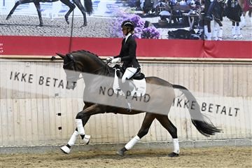 182241_kbb_01_Z094621.JPG