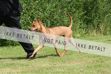 130370_se_02_IMG_5950.JPG