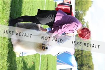 182009_rin_03_R62_4431.JPG