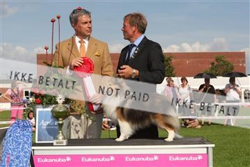 130370_se_03_IMG_7908.JPG
