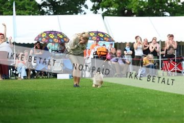 181564_rin_01_R62_9749.JPG