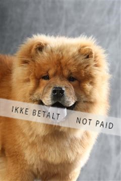 129608_le_ 01_0241.JPG