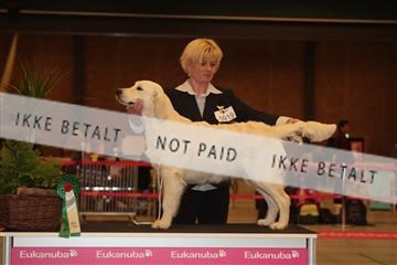 124188 _tl_02_IMG_9220.JPG