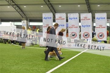 172846_bkn_01__D046414.JPG
