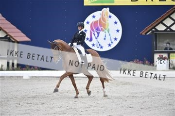 169586_kuo_16__D4S0366.JPG