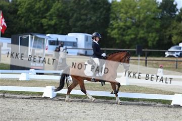181894_mtp_05_R62_5322.JPG