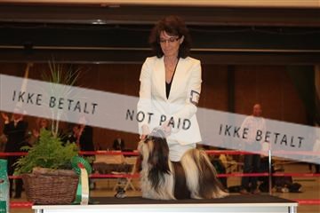 124188 _tl_02_IMG_9286.JPG