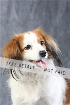 129608_le_ 01_0544.JPG