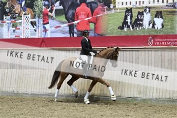 182241_kbb_01_Z093750.JPG