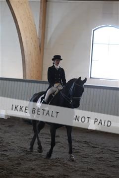 139267_kl_1_8M1Q6791.JPG
