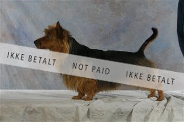 5493_sme _04__MG_9896.JPG