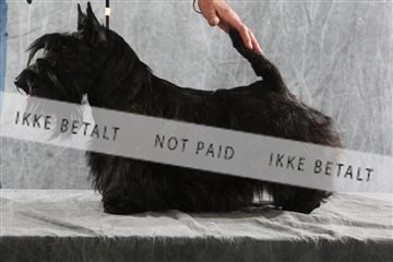 129608_le_ 02_0099.JPG