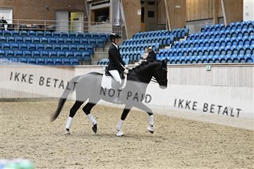 182241_kbb_01_Z095030.JPG