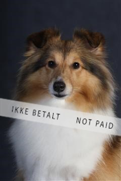 132082_le_ 01_IMG_0793.JPG