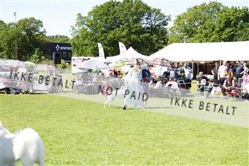 181564_kar_01__62_8515.JPG