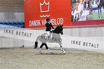 182241_kbb_01_Z093142.JPG
