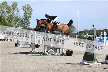 181436_avh_02_3756.JPG