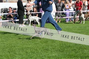 130370_se_02_IMG_6667.JPG