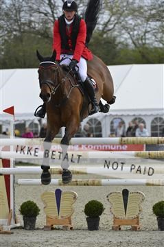 139644_abo_07__AB15866.JPG
