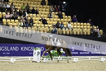 182194_kbb_03_Z090774.JPG