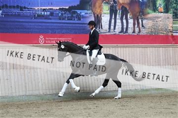 181887_mtp_01_R62_7182.JPG