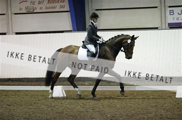 141472_abo_01__AB15198.JPG