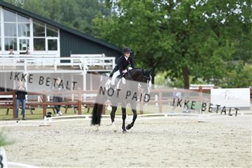 181923_mtp_01_R62_6874.JPG