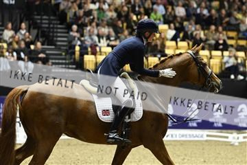 182194_kbb_03_Z091890.JPG