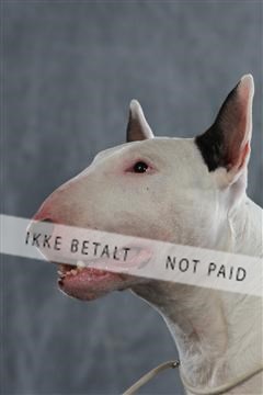 128239_le_kort_ 01_0289.JPG