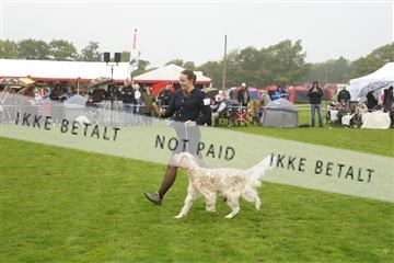 182009_kar_01__62_5644.JPG