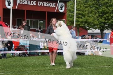134871_ms_04_IMG_1113.JPG