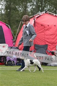 135379_tl_02_IMG_9263.JPG