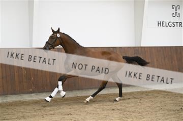 181739_kbb_01_Z090427.JPG