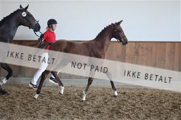 181756_mtp_03_R62_3162.JPG