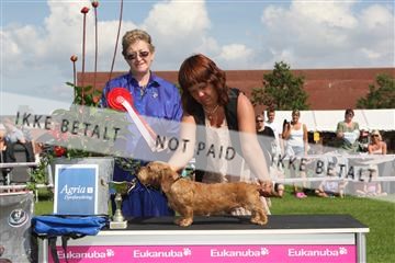 130370_se_03_IMG_7707.JPG