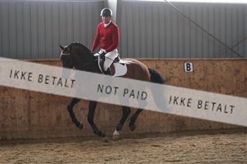 139206_kl_1_8M1Q5146.JPG